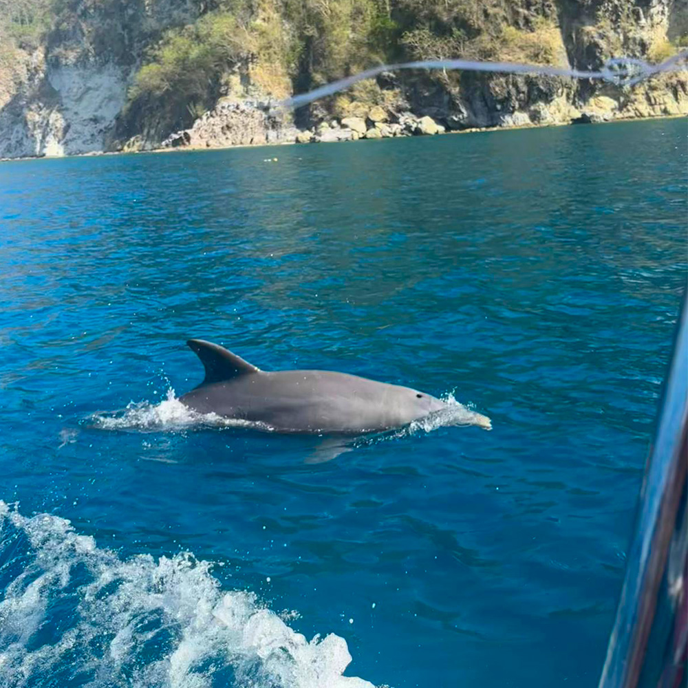 Crystal Boat Aquarium Experience