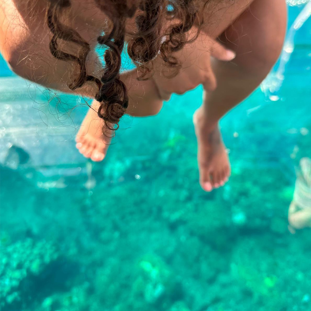 Crystal Boat Aquarium Experience