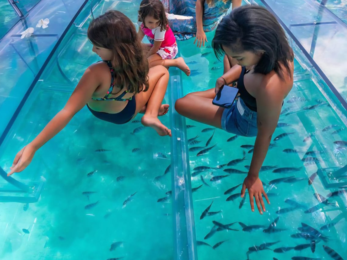 Crystal Boat Aquarium Experience